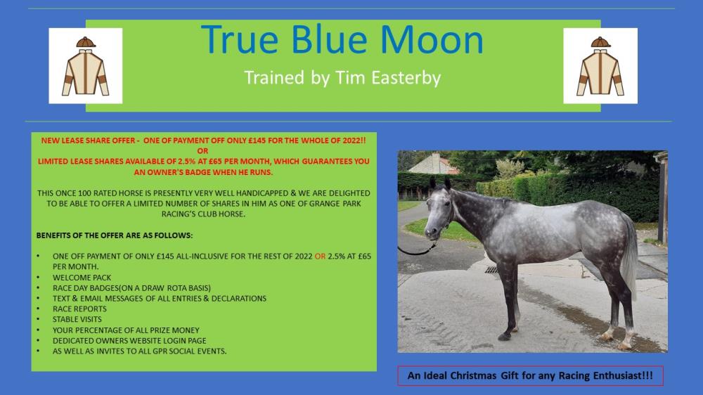 True Blue Moon flyer